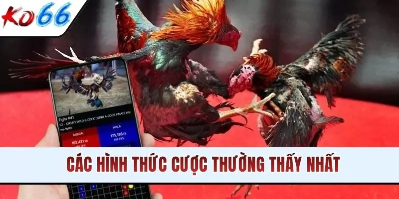 Các hình thức cược thường thấy nhất