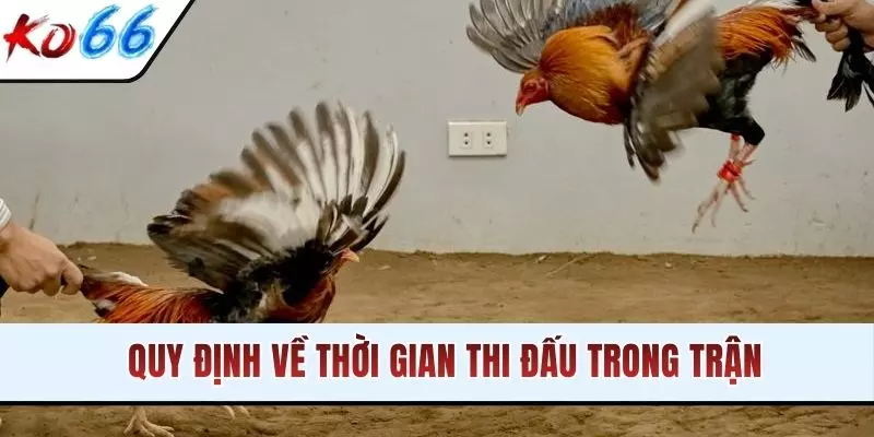 Quy định về thời gian thi đấu trong trận